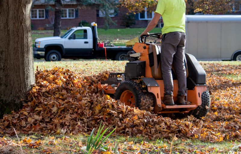 Commercial Leaf Removal