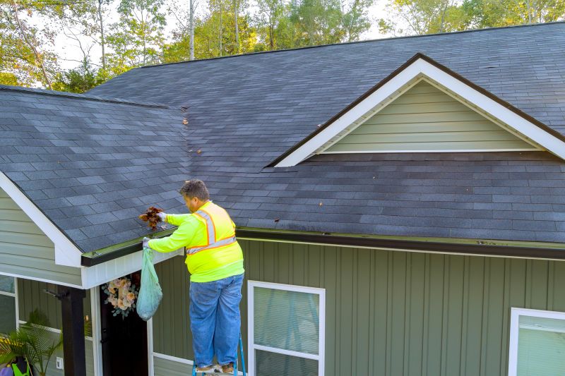 Gutter and Roof Cleanup