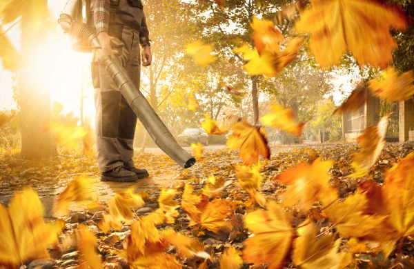 Leaf Blowing Service in Haverhill