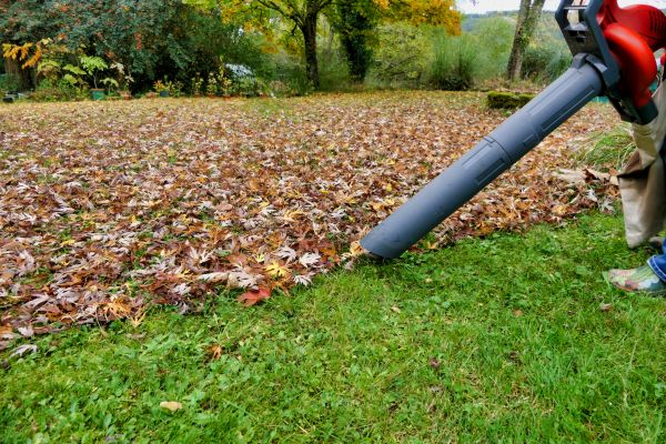 Leaf Vacuuming Service in Haverhill