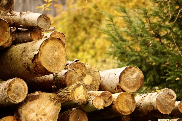 Wood Pile Removal in Haverhill