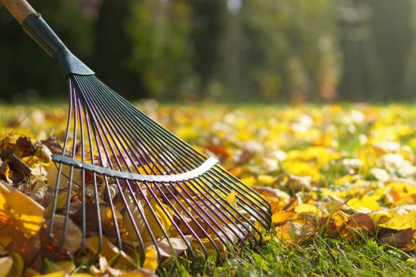 Leaf Raking Service in Haverhill