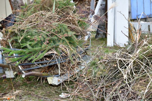 Yard Waste Removal Service in Haverhill