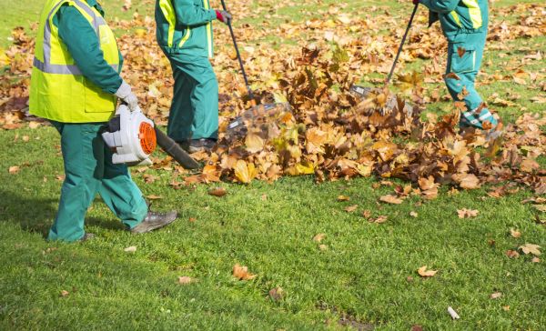 Leaf Maintenance in Haverhill