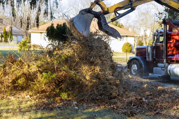 Storm Debris Removal in Haverhill