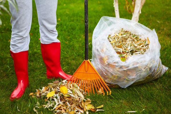 Leaf Disposal Service in Haverhill