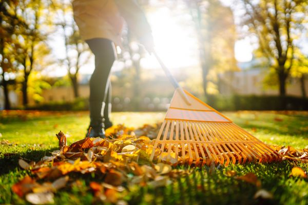 Leaves Raking in Haverhill