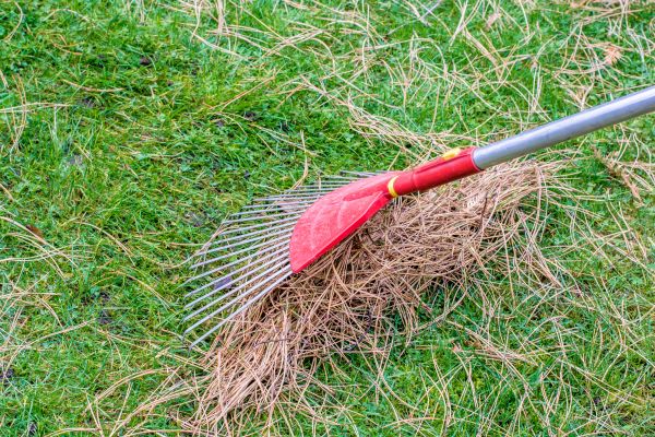 Yard Raking in Haverhill