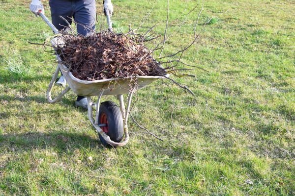 Yard Brush Removal in Haverhill