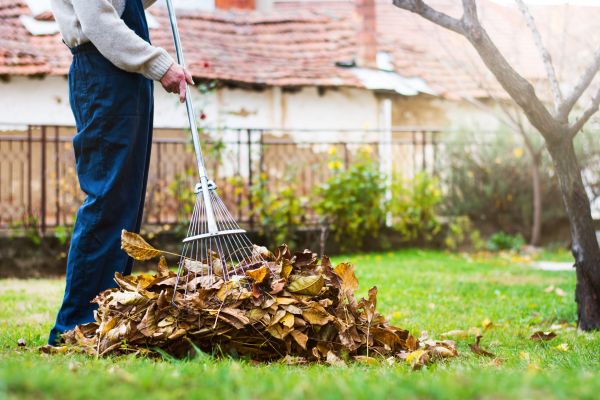 Spring Lawn Cleanup in Haverhill