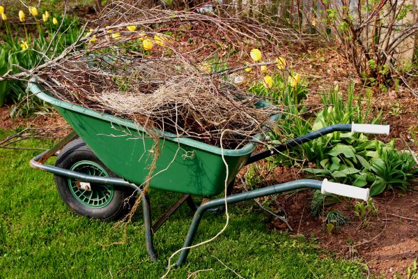 Lawn Waste Removal in Haverhill