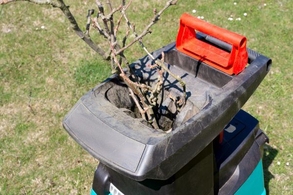 Cost of Brush Cleanup Service in Haverhill