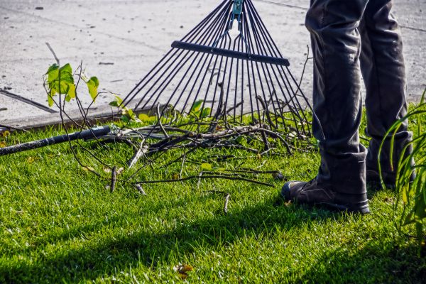 Yard Debris Cleanup in Haverhill